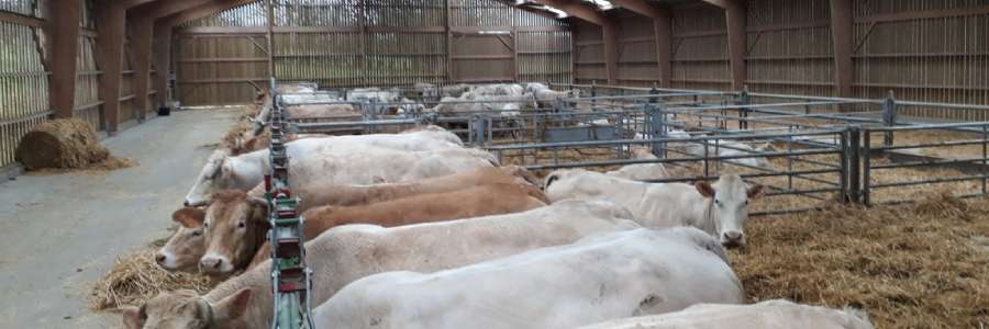 Accueil - Construisez votre projet